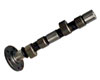 NeuTek Camshafts
