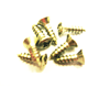 Speedster Vent Screws