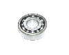 Wheel Ball Bearing, #17304