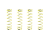 Wheel Cylinder Spring