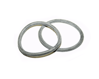 Blinker Lens Seal