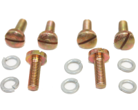 Fuel Pump Screw Set