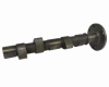 NeuTek Camshaft, ZH-2