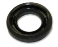 Pump Pushrod Seal