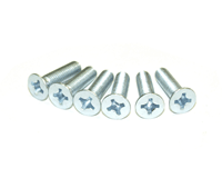 Striker Screw Set