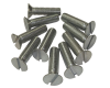 Striker Plate Screw Set, Pre-A & 356A