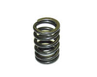 Valve Spring