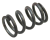 Zenith Idle Screw Spring