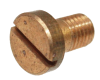 Zenith Screw